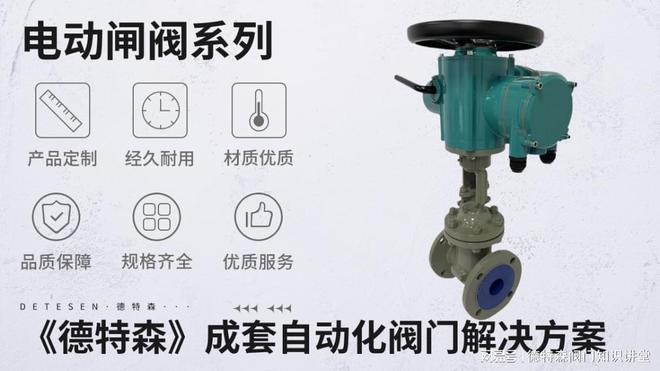 德特森（DETESEN）品牌的电动楔式闸阀的客户案例