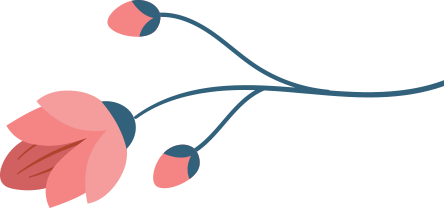 “异宠”知多少丨“铠甲勇士”——步甲虫